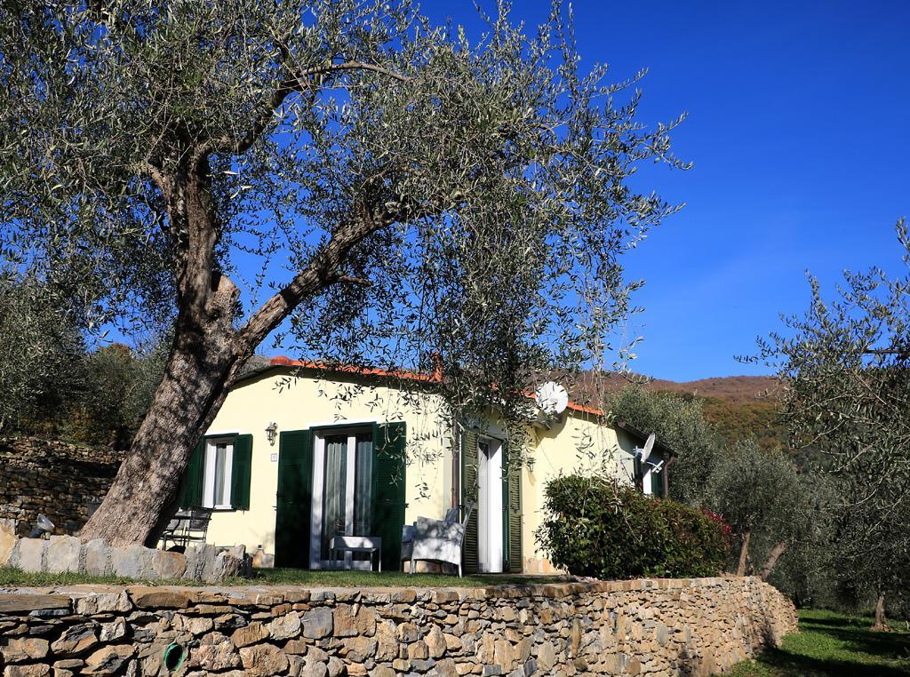 Casa Vacanze Gli Ulivi Borgomaro Exterior photo